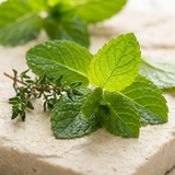 Mint & Thyme