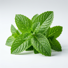 Peppermint & Menthol